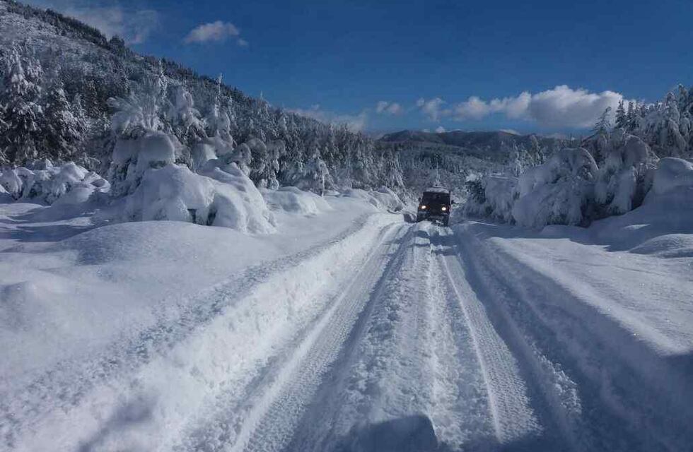 Lanzaron en Río Negro un registro online de viajes solidarios para evitar perderse en la ruta