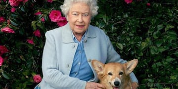 El curioso árbol genealógico de los perros de la Reina Isabel II.
