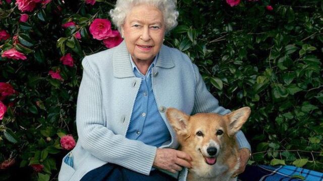 El curioso árbol genealógico de los perros de la Reina Isabel II.