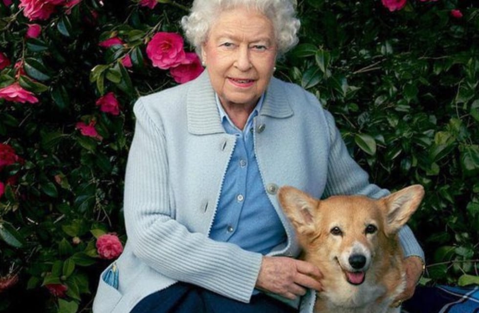 El curioso árbol genealógico de los perros de la Reina Isabel II