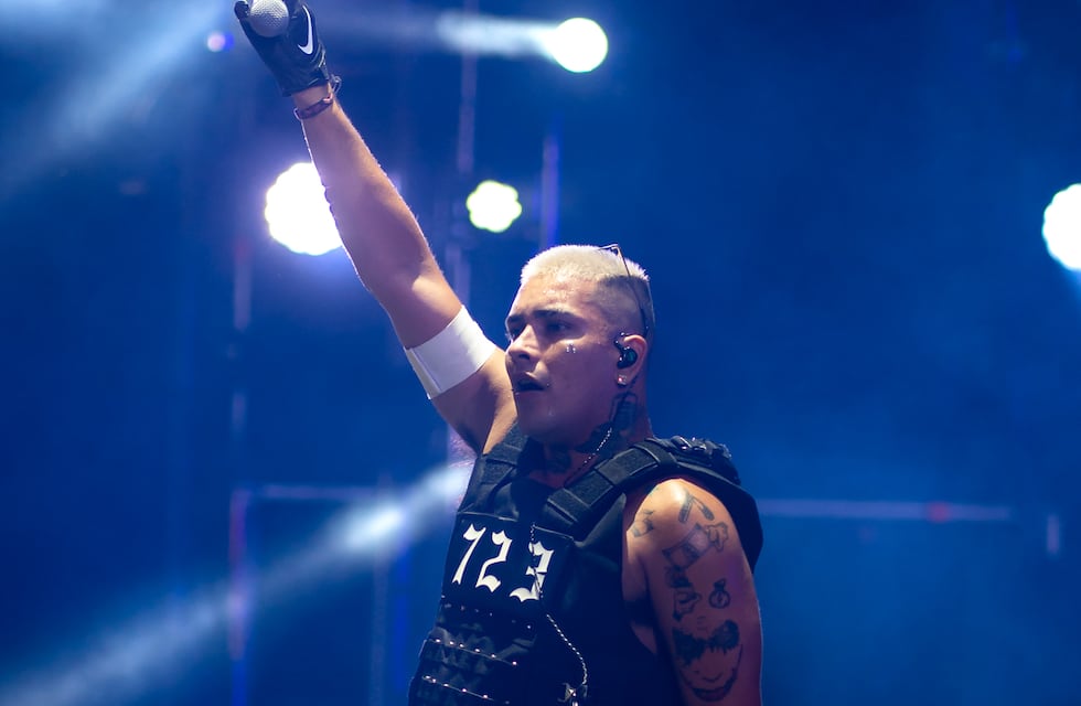 Callejero Fino subió a un fan al escenario durante su show en el Lollapalooza Argentina y causó furor