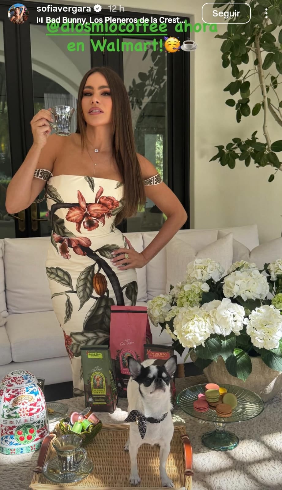 Escote y mega ajustado: Sofía Vergara lució un vestido de diseño exclusivo y desató pasiones