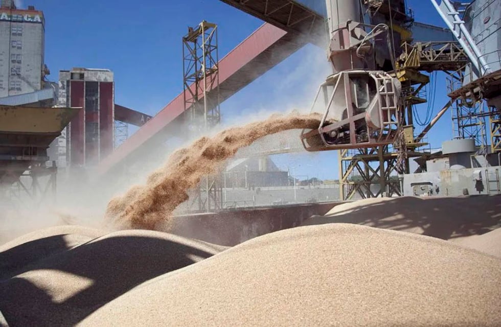 Tras la sequía, cómo son las expectativas para la exportación de granos en 2024