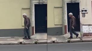 El hombre paseaba algo... ¿o no?