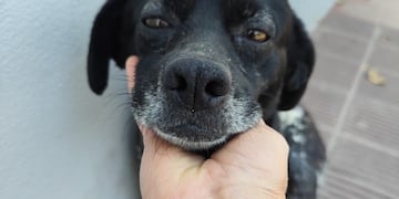 Corazón de Trapo Arroyito