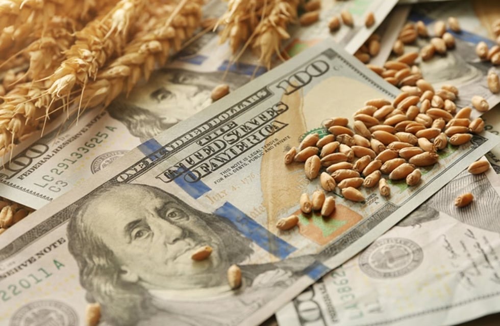 Otro récord para el campo: las exportaciones sumaron más dólares que lo que queda en el Banco Central