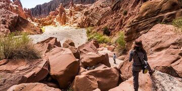 Salta, uno de los destinos más elegidos por los turistas.