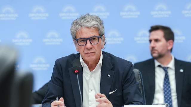 El titular de ARCA, Juan Pazo, en la Comisión de Presupuesto y Hacienda (Foto: HCDN)