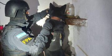 Canes ayudaron a la detección de narcóticos en los cuatro domicilios.