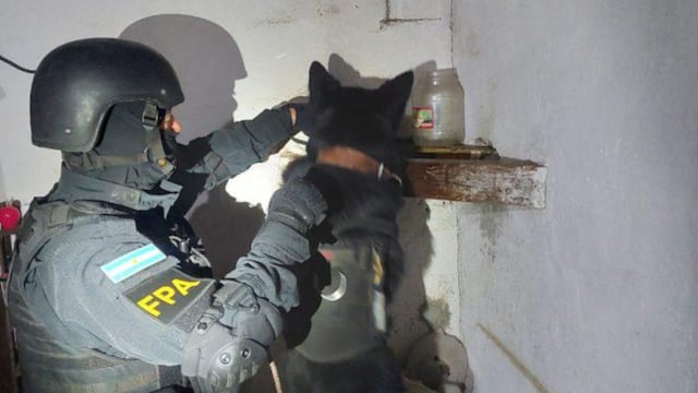 Canes ayudaron a la detección de narcóticos en los cuatro domicilios.
