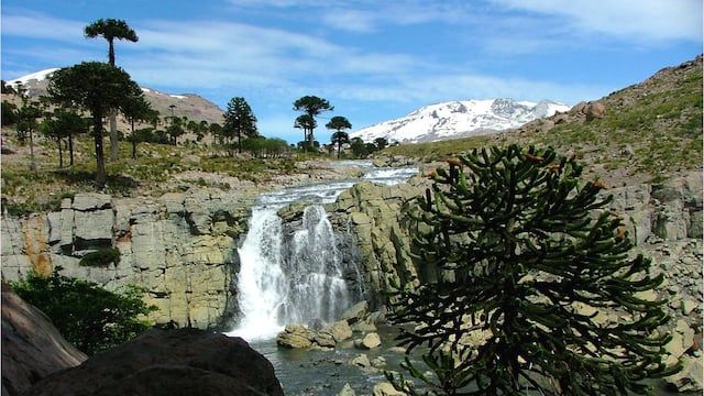 Caviahue- Copahue significan lugar sagrado de fiesta o de reunión” y “lugar de azufre".