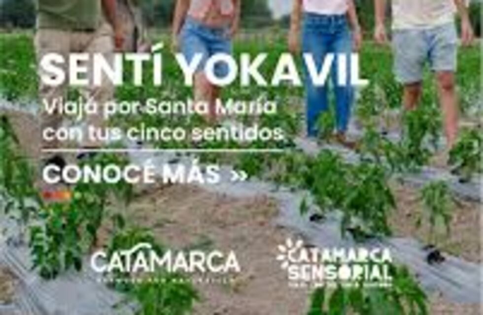 “Sentí Yokavil”: una travesía con los cinco sentidos por los sabores y paisajes de Santa María