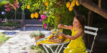 A little girl in a bright yellow dress sits at a white table in the shade under a lemon tree in the garden and drinks fresh lemon. Antibes, France