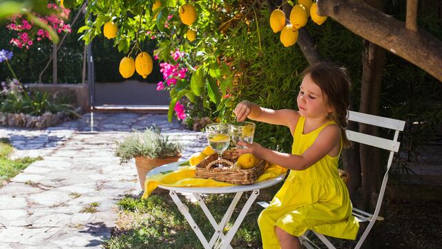 A little girl in a bright yellow dress sits at a white table in the shade under a lemon tree in the garden and drinks fresh lemon. Antibes, France