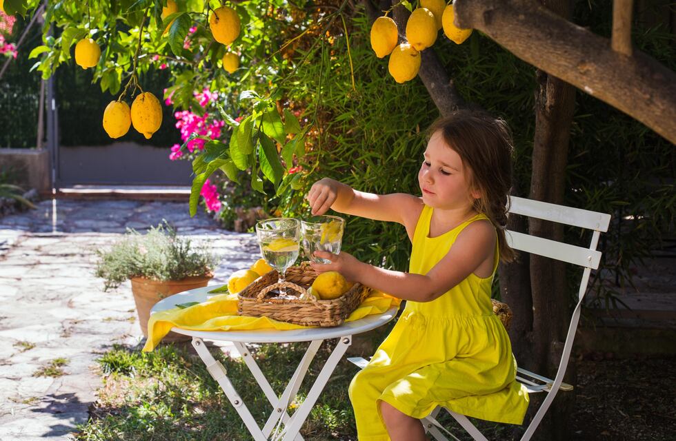 Diciembre: una perfumada fiesta de cítricos en nuestro jardín