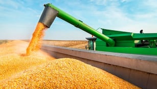 Una niña cayó dentro de una tolva de maíz. (Foto: Ilustrativa)