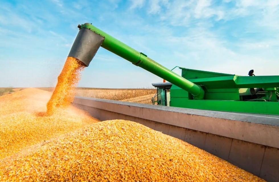 Tragedia: una niña de 5 años murió al caer en una tolva de maíz en Córdoba