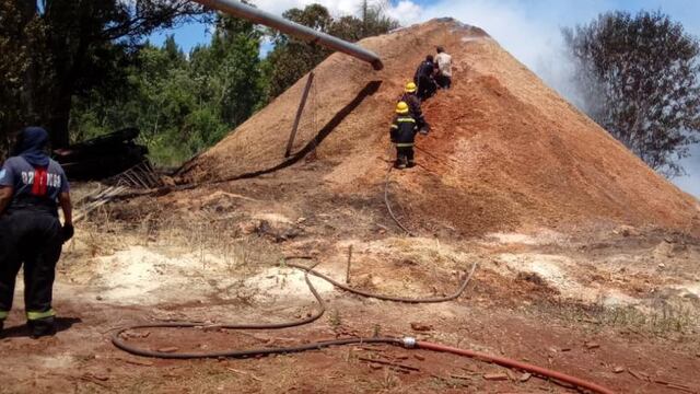 Eldorado: se registró un incendio en una carpintería y se extendió a un pinar