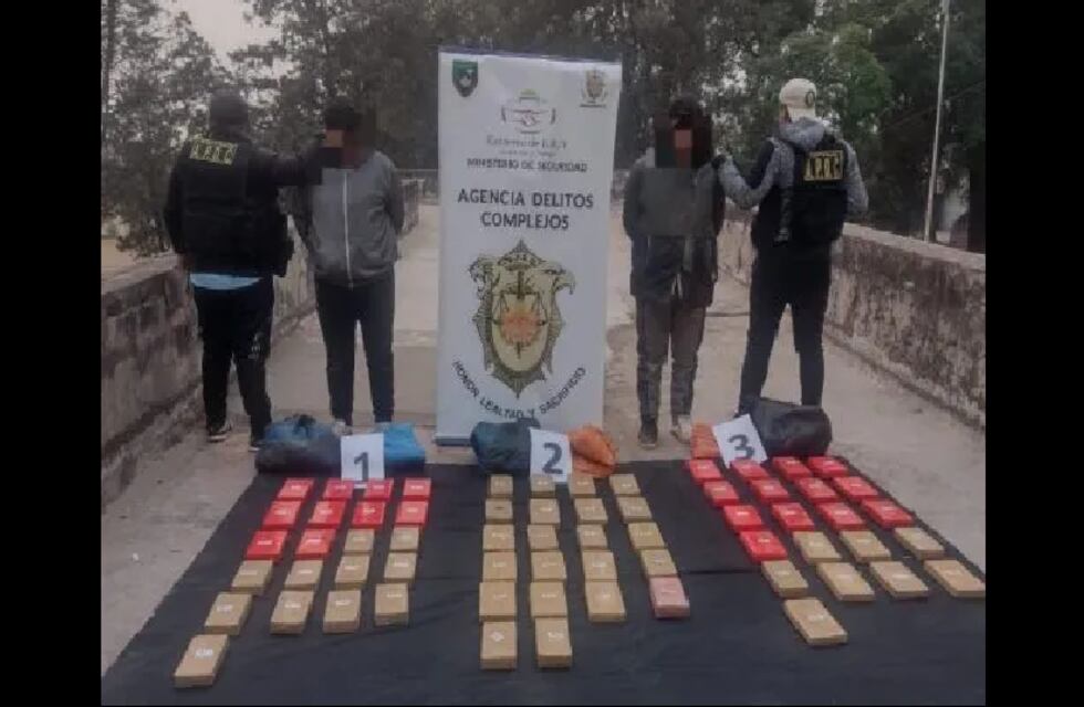 Cocaína en Jujuy: fuerzas de seguridad incautan millonarios cargamentos