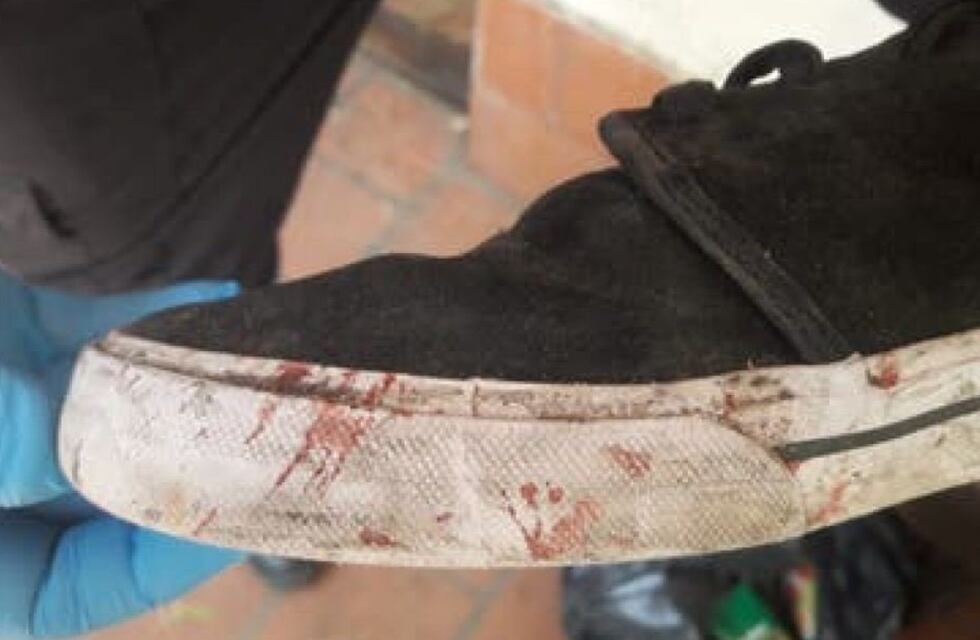 Juicio por el crimen de Fernando Báez Sosa: confirmaron que la huella de la zapatilla es de Máximo Thomsen
