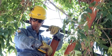 Los operarios trabajan desde primera hora de la jornada en diferentes puntos de la ciudad.