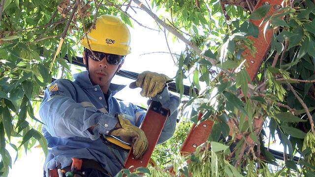 Los operarios trabajan desde primera hora de la jornada en diferentes puntos de la ciudad.