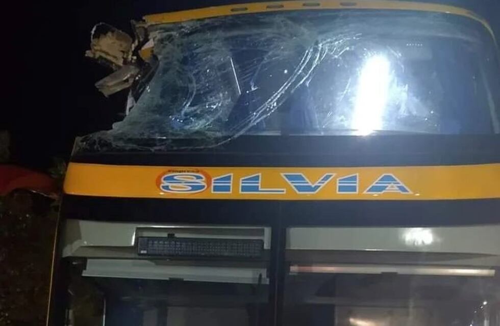Un pasajero tomó el volante de un colectivo cuando se desvaneció el chofer y evitó una tragedia