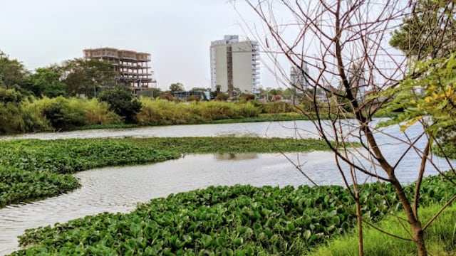 Invitan a una jornada de limpieza del arroyo Zaimán, Itá y la bahía El Brete por el Día Mundial del Agua