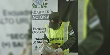 Partió desde Puerto Iguazú un ómnibus de larga distancia con marihuana.