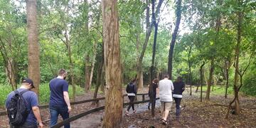 Recorrida de funcionarios y ambientalistas en en el Bosquecito "Norberto Besaccia"