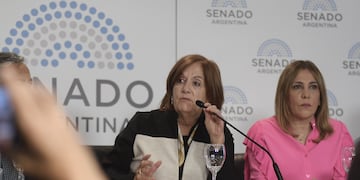 Alejandra Vigo insistió con su proyecto del boleto federal (archivo La Voz).