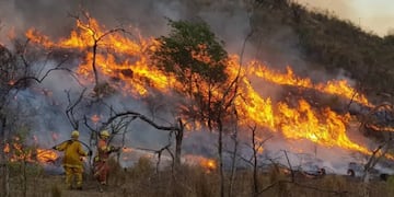 Aparecieron nuevos focos en las provincias de Salta, Jujuy y La Rioja.