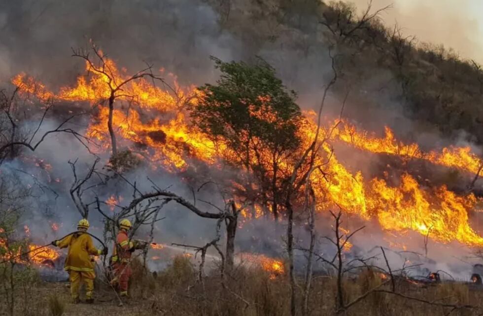 Incendios forestales: La Rioja, Salta y Jujuy registraron nuevos focos activos