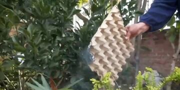 Un hombre quemó maples de huevo para “ahuyentar” a los mosquitos y generó preocupación en los vecinos de Puerto Iguazú