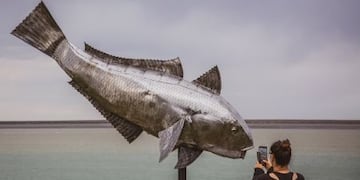 Esta edición del concurso “Las 12 Horas del Róbalo” que tiene 167 pescadores inscriptos.