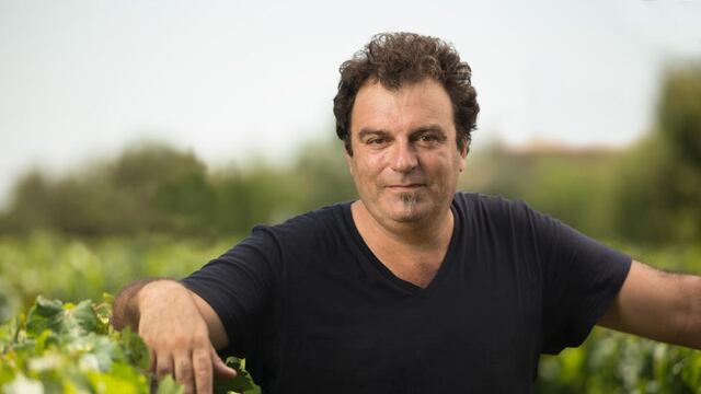 Alejandro Vigil, ahora presidente de Wines of Argentina. (Wofa)