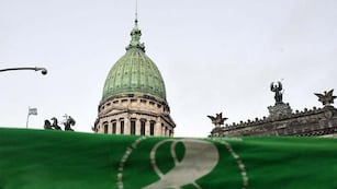 La Libertad Avanza busa derogar la ley del aborto voluntario. (Archivo).
