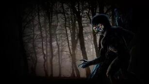 Un hombre grabó un video donde cree haber visto al Pombero.