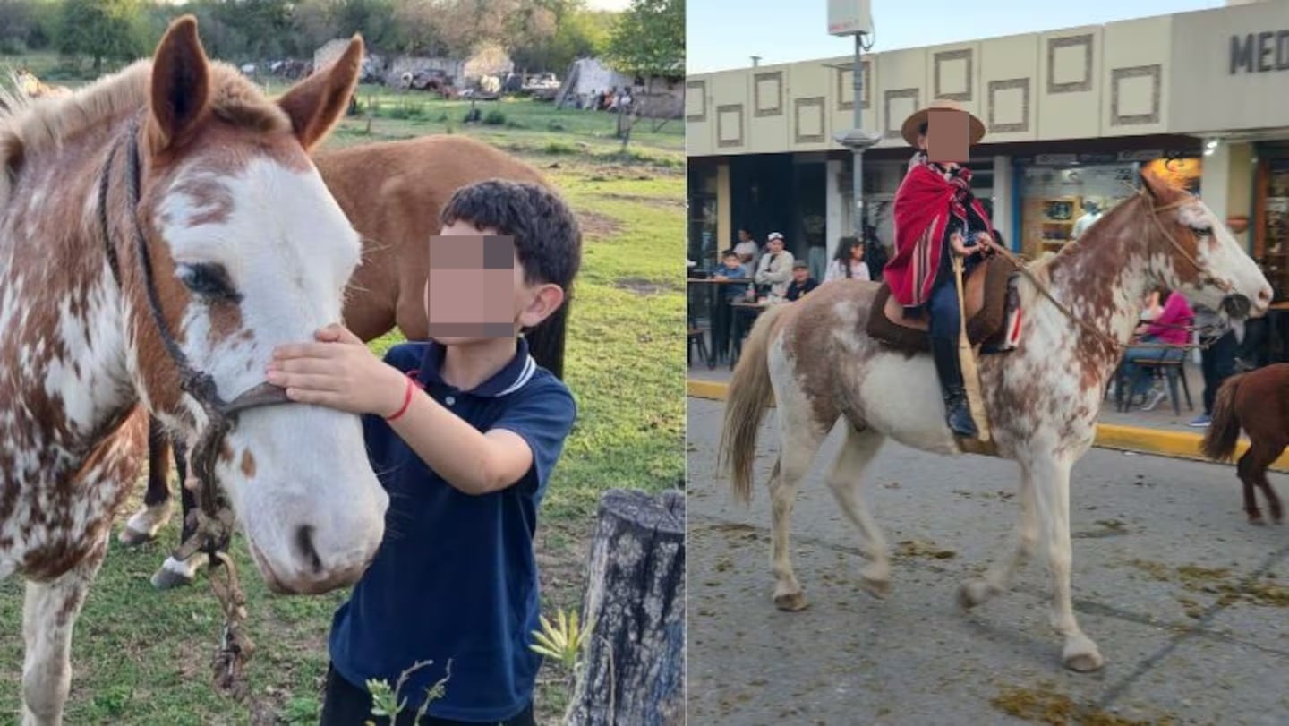Habló el niño de 9 años que iba junto a su caballo. (Foto: El Doce)