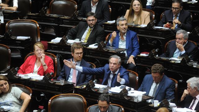 Encuentro Federal define si pide sesión para reformar la ley de DNU (Foto: Federico López Claro)