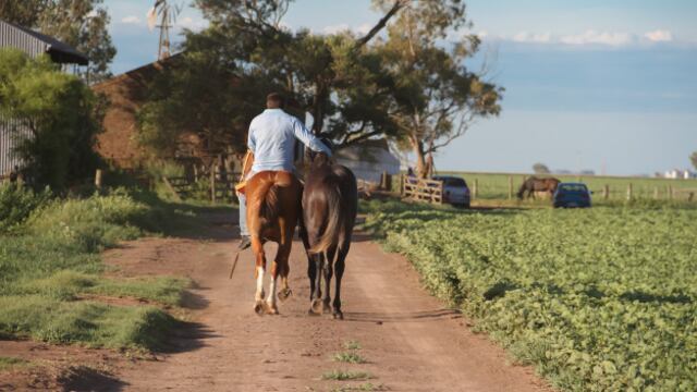 Hombre a caballo (imagen ilustrativa) Web.
