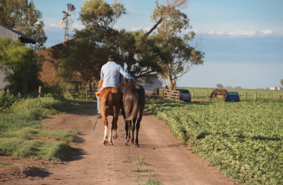 Hallaron un peón rural sin vida en Concepción del Uruguay