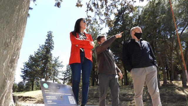 Instalaron cartelería para conocer las más de 60 especies de árboles