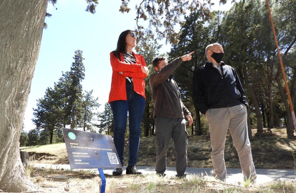 Parque San Martín: instalaron cartelería para conocer especies de árboles