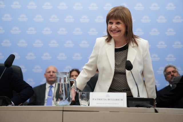 La ministra de Seguridad, Patricia Bullrich, expuso en la Comisión de Presupuesto de Diputados (Foto: HCDN)