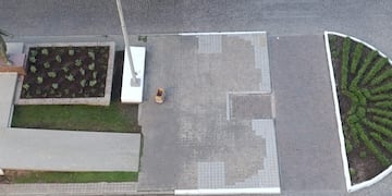 Plantaron especies aromáticas en los canteros del Bv. Lehmann