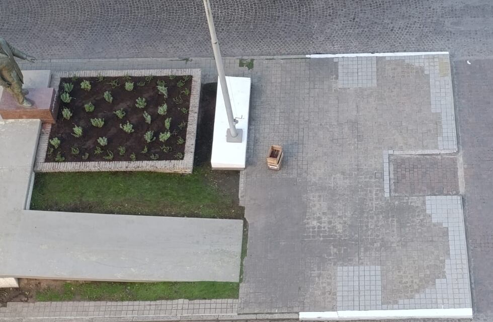 Plantaron especies aromáticas en los canteros del monumento a Lehmann