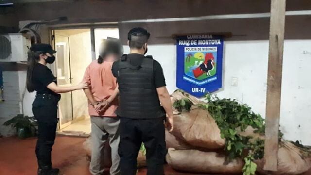 Detienen a una persona por la cosecha de yerba ilegal en una propiedad privada