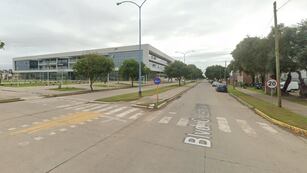 En esta parte se llevará a cabo “Florece Bulevar Lehmann Norte”