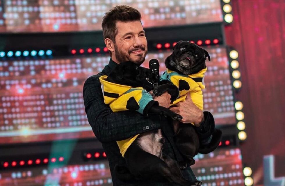 La Academia: los perros de Mar Tarrés enamoraron a Tinelli